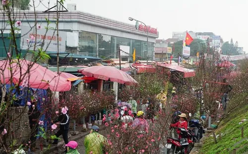 Chợ hoa Quảng An rộn ràng sắc xuân, hương Tết lan tỏa khắp Hà Nội