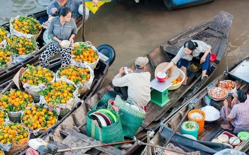 Chợ nổi Cái Răng: Nhịp sống rực rỡ trên dòng sông Hậu