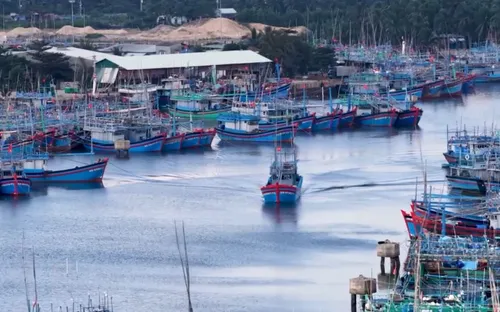 Giải bản tàu cá, mở hướng sinh kế cho ngư dân