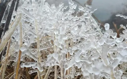 Miền Bắc rét đậm rét hại, vùng núi cao có nơi dưới 3 độ C