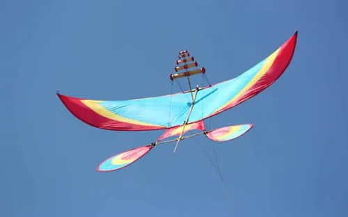 Diều sáo: Bản hòa tấu giữa gió và hồn quê Việt