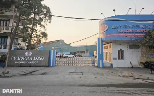 Hải Phòng tiêu hủy gần 14.000 hộp patê làm từ thịt nhiễm dịch