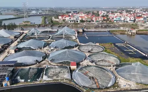 Chuyển đồi nghề, tạo sinh kế bền vững cho ngư dân