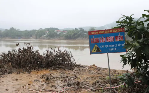 Phú Thọ: Dự kiến chi 12 tỷ đồng xử lý khẩn cấp sạt lở bờ sông Lô