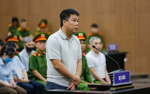 Chủ tịch Tập đoàn Phúc Sơn lĩnh thêm 11 năm tù trong vụ sai phạm 63ha đất sân bay Nha Trang