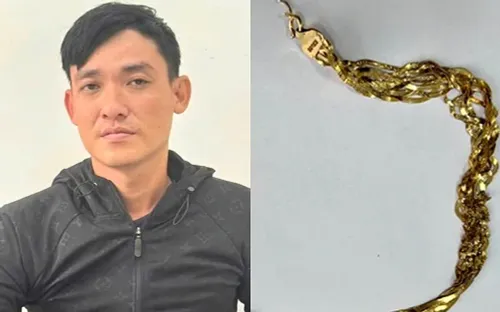 Tạm giữ hai đối tượng gây ra nhiều vụ cướp giật tại Đồng Nai và TPHCM