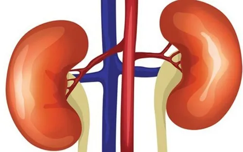 Bệnh thận mạn: Chỉ cần vận động nhẹ mỗi ngày cũng có thể giảm mạnh nguy cơ tử vong