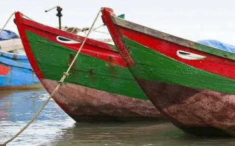 Kỹ thuật đóng thuyền thớt của người Việt cổ: Những "kình ngư" bằng gỗ trên biển Đông