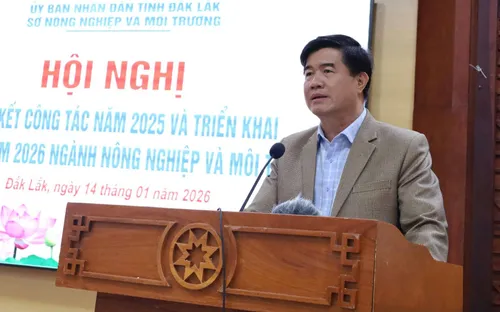 Nông nghiệp – môi trường tiếp tục là trụ đỡ kinh tế Đắk Lắk