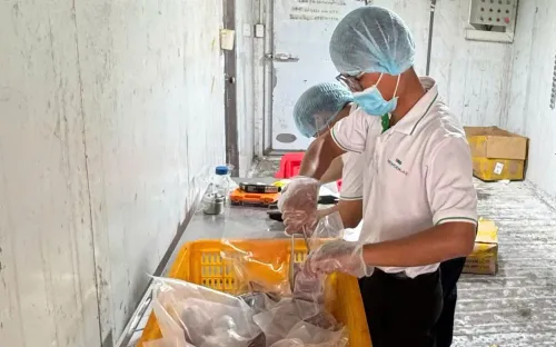 Triệt phá đường dây sản xuất hơn 50 tấn thịt nai, dê, nhím giả từ thịt heo tại TPHCM