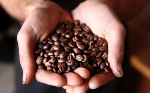 Uống cà phê vừa phải mỗi ngày có thể giúp sống lâu hơn, giảm nguy cơ nhiều bệnh