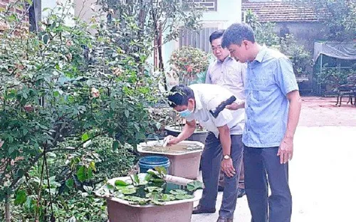 Sốt xuất huyết diễn biến khó lường, nguy cơ bùng phát dịch trên diện rộng