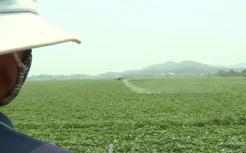 Số hóa nông nghiệp