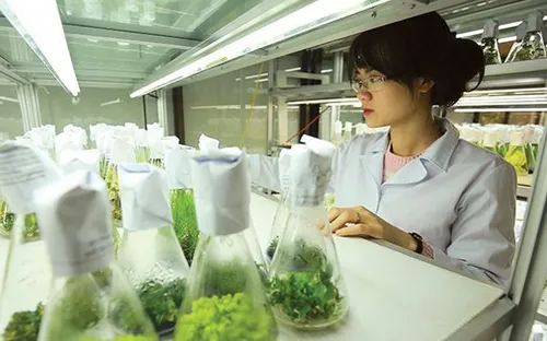 Khi thế giới chọn mạo hiểm để tăng trưởng: Lời giải cho bài toán vị thế và nội lực của kinh tế Việt Nam