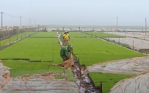 KỲ VỌNG CỦA BÀ CON NÔNG DÂN VÀO ÐẠI HỘI XIV CỦA ÐẢNG