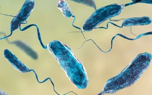 Trầy xước ngón chân, nam thanh niên 25 tuổi nguy kịch vì nhiễm “vi khuẩn ăn thịt người”