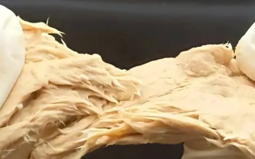 Trung Quốc phát triển nấm biến đổi gen giàu protein, hương vị và kết cấu như thịt