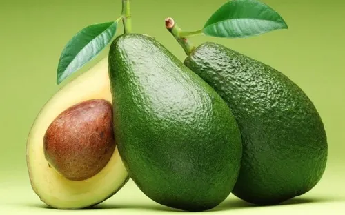 Quả bơ và những lợi ích nổi bật đối với sức khỏe