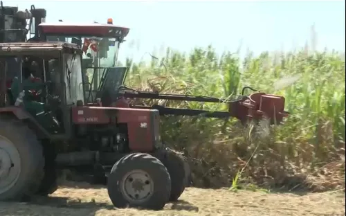 Liên kết sản xuất nâng cao giá trị