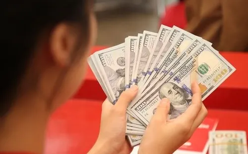 Tỷ giá USD hôm nay (25-1): Đồng USD ghi nhận tuần giảm mạnh