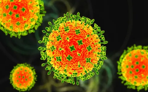 Ấn Độ ghi nhận nhiều ca nhiễm virus Nipah, siết chặt giám sát y tế