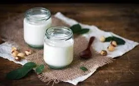 5 lợi ích sức khỏe nổi bật của sữa chua tự nhiên