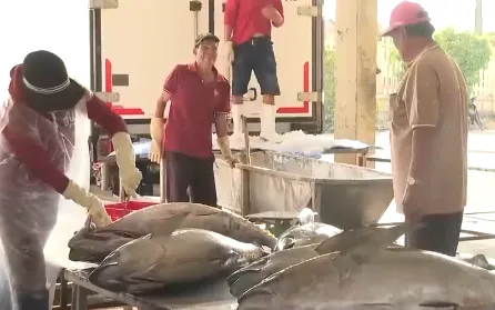 Đảm bảo an toàn vệ sinh tại các cơ sở chế biến thủy sản