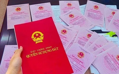 Đất lấn chiếm trước 1/7/2014 vẫn có thể bị xử phạt khi bị phát hiện vi phạm