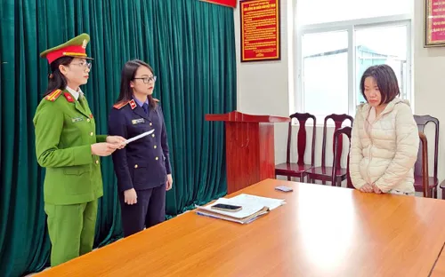 Khởi tố người giúp việc hành hạ cụ bà 82 tuổi ở Hà Nội