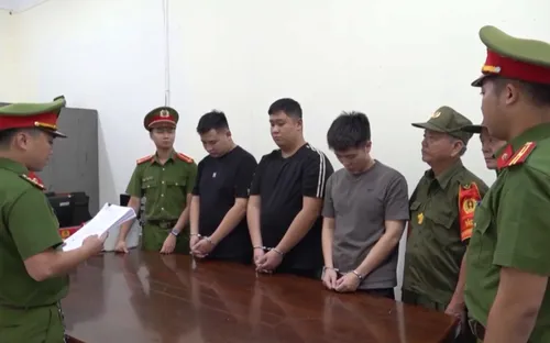 Lừa đảo chiếm đoạt tài sản qua sàn đầu tư ảo