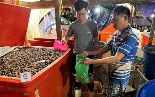 Đường dây ngâm hóa chất hơn 3000 tấn thịt ốc bị triệt phá