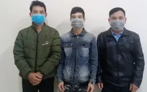 Ba nhân viên bảo vệ rừng ở Gia Lai nhận hối lộ, “bật đèn xanh” cho phá rừng lãnh án tù