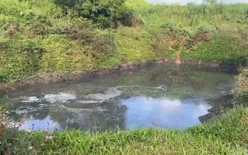 Quảng Ngãi: Doanh nghiệp xả thải gây ô nhiễm môi trường