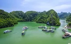 Mở rộng không gian văn hóa biển đảo tại Cà Mau và Hải Phòng