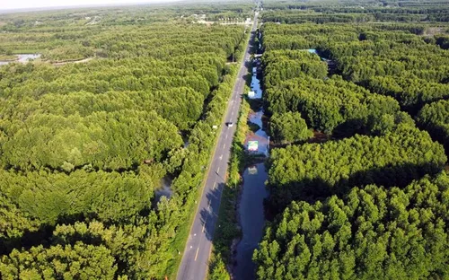 Cà Mau triển khai chương trình phát triển du lịch bền vững giai đoạn 2026–2030