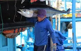 Xuất khẩu thủy sản tháng 1 tăng 13%, Trung Quốc bứt phá bù đắp đà giảm tại Mỹ