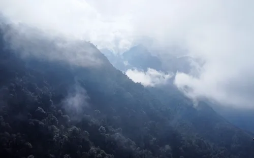 Đào rừng bung nở rực rỡ dưới chân đèo Ô Quy Hồ