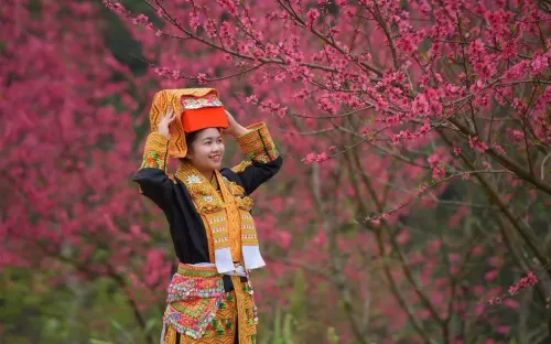 Lạng Sơn rực rỡ mùa xuân với Lễ hội Hoa Đào kéo dài hơn 2 tháng