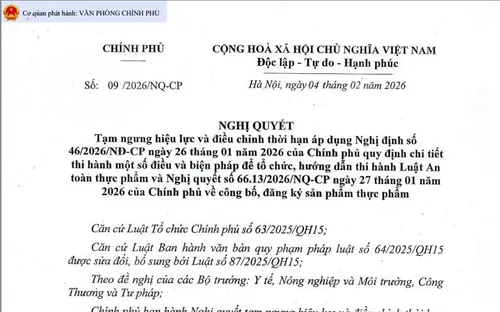Tạm dừng áp dụng Nghị định số 46 về an toàn thực phẩm đến hết ngày 15/4/2026