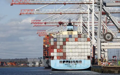 Maersk cắt giảm 1.000 việc làm văn phòng khi lợi nhuận lao dốc