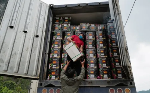 Trung Quốc chi gần 1,5 tỷ USD mua nông lâm thủy sản Việt Nam trong tháng 1