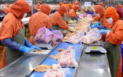 Công bố kết quả sơ bộ Tổng điều tra kinh tế 2026 sớm hơn 7 tháng