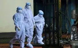 Mật chà là tươi bị cảnh báo là nguồn lây virus Nipah nguy hiểm