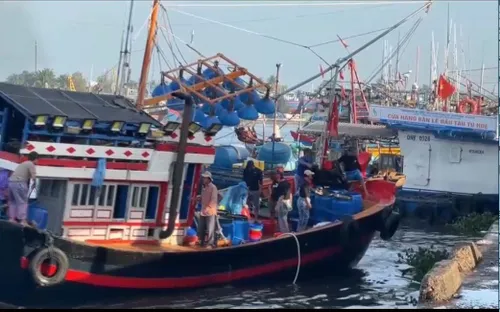 Nhộn nhịp phiên biển cuối năm