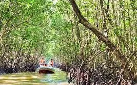 Cà Mau tăng tốc xây dựng du lịch xanh, hướng tới hệ sinh thái bền vững