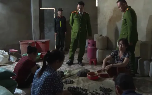 Triệt phá đường dây sản xuất thuốc Đông y giả