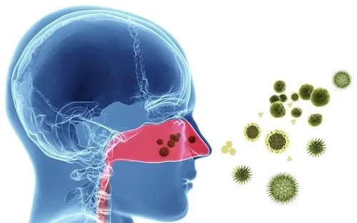 HCDC khuyến cáo phòng bệnh hô hấp dịp Tết Nguyên đán