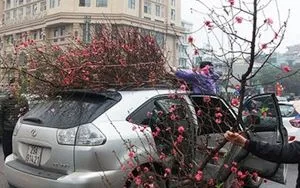 Chở đồ trên nóc ô tô có thể bị phạt đến 10 triệu đồng