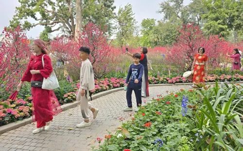 Thảnh thơi dạo quanh hồ Hoàn Kiếm, cảm nhận Hà Nội chậm lại trước thềm Xuân