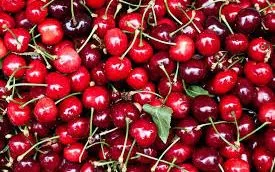Cherry Australia cỡ lớn chạm mốc 2 triệu đồng/kg, tăng mạnh sát Tết